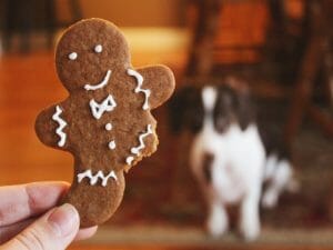 gingerbread man, рождественские пряники, рецепт
