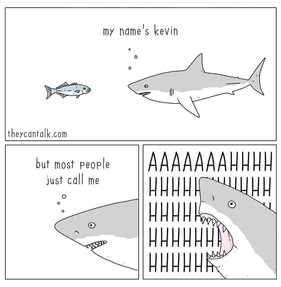 chistes simples con animales en inglés tiburón