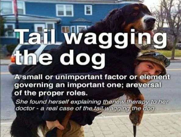 angielskie idiomy z psami