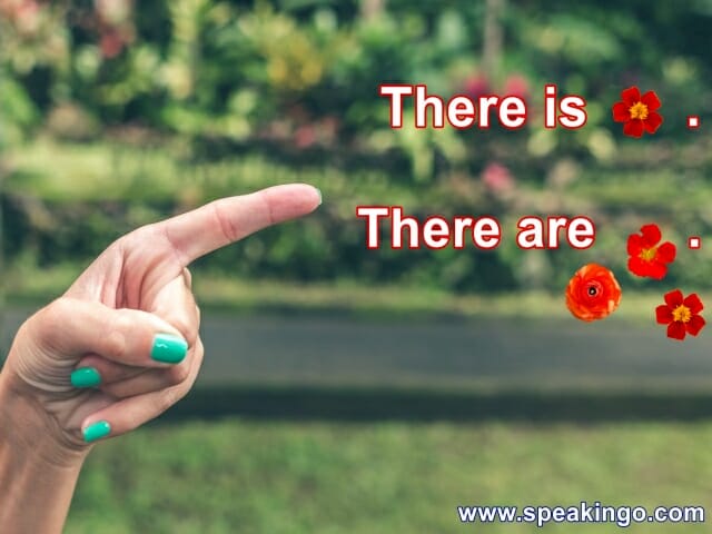 there is there are