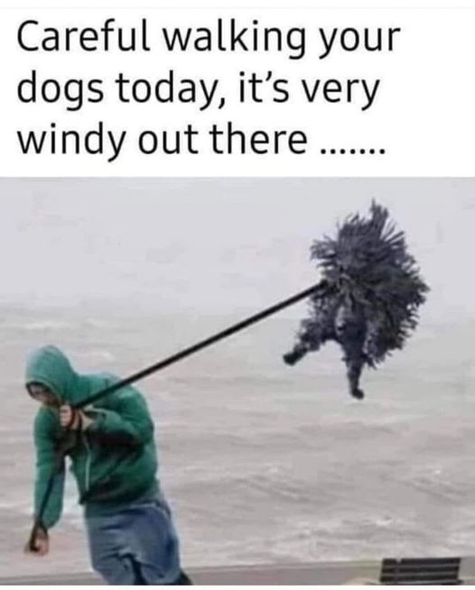 (Bądź) ostrożny wyprowadzając swojego psa dzisiaj, jest bardzo wietrznie tam na zewnątrz...