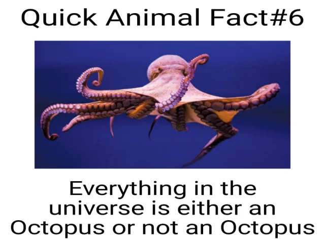 Ośmiornice z kosmosu po angielsku, octopus, ciekawostki