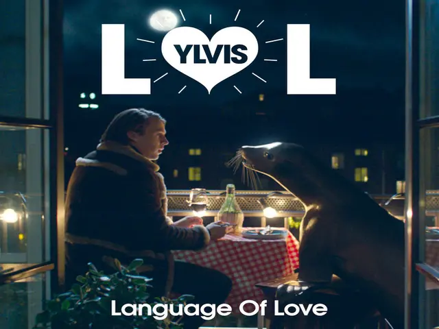 język miłości, Ylvis, Language of love