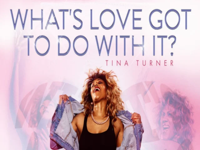 What's Love Got To Do With It?, tina turner